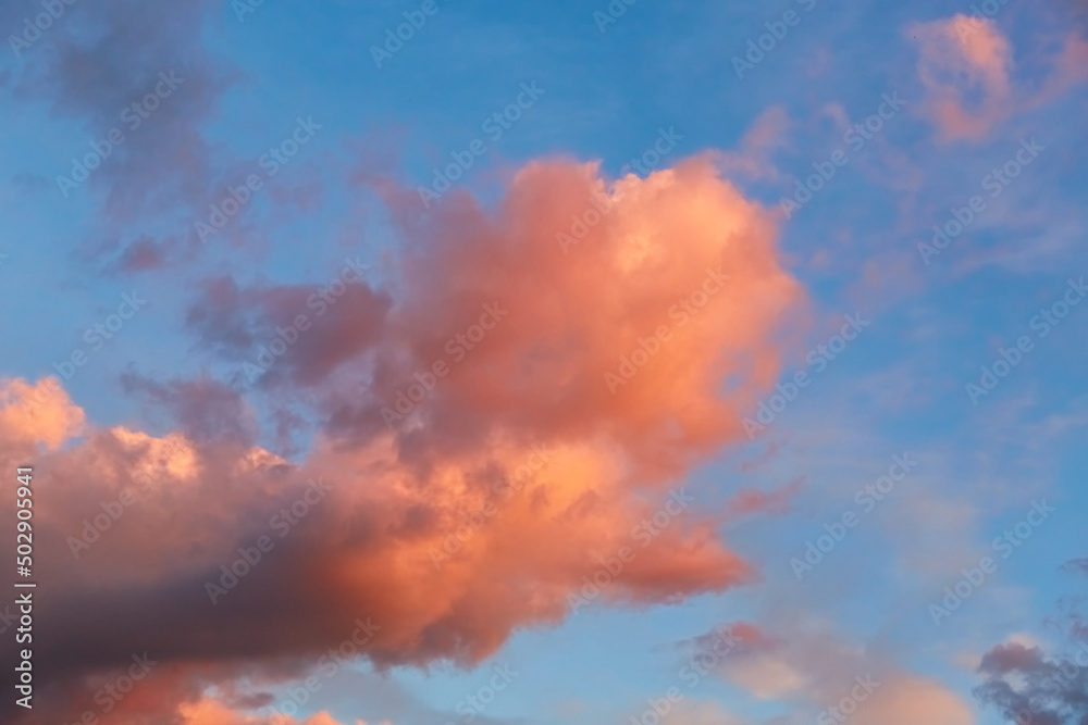 Purple, pink and orange tints clouds in the blue sky at sunset. Big fluffy cumulus cloud. Scenic wallpaper. Nature background. Colorful space. Evening cloudscape. Peace concept. Heaven paradise. Pure