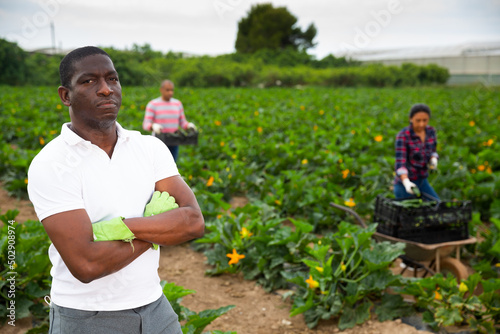 Portrait of confident african american farmer standing with arms crossed on vegetable plantation during harvest of organic courgettes