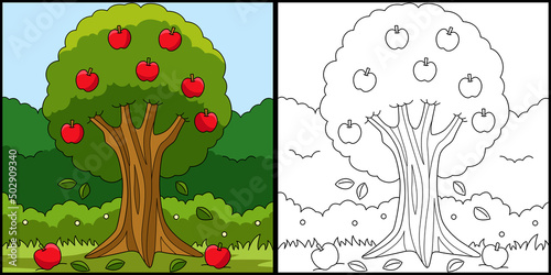 Apple Tree Coloring Page Colored Illustration