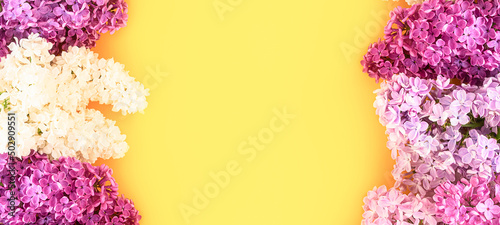 Lilac flowers on a yellow background. Spring concept. Banner