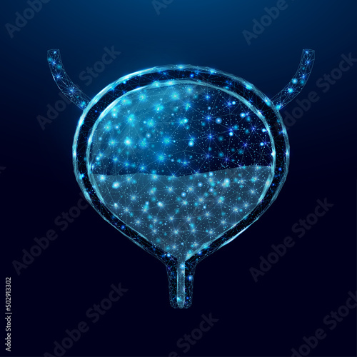 Human bladder. Design element for medical concept, bladder cancer, cystitis, human excretory system. Wireframe low poly style. Abstract vector illustration on dark blue background