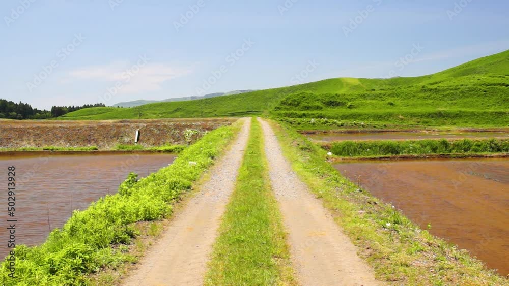 阿蘇の田舎道　水田　田んぼ　春
