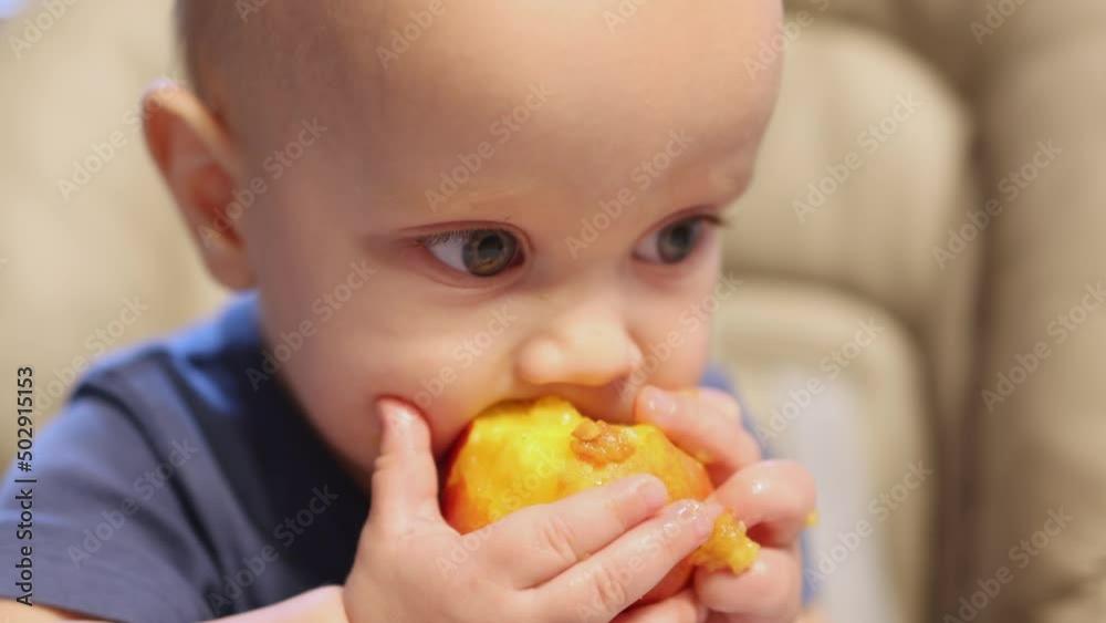 portrait eating baby fruit at home.healthy food, lunch time. kid child biting peach, holding it in hand. baby making funny face tasting sweet fruit, eating pieces, sitting at feeding chair table. portrait eating baby fruit at home.healthy food, lunch time. kid child biting peach, holding it in hand. baby making funny face tasting sweet fruit, eating pieces, sitting at feeding chair table.
