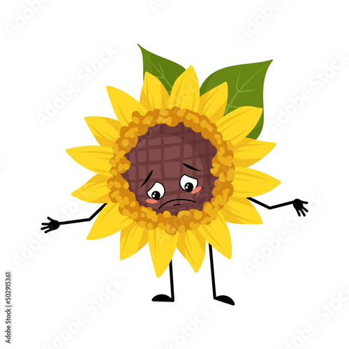 Sunflower character with sad emotions, depressed face, down eyes, arms and legs. Plant person with melancholy expression, yellow sun flower emoticon. Vector flat illustration