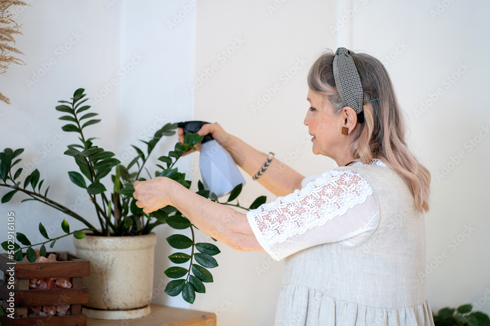 An elderly woman takes care of houseplants. A woman sprays houseplants with water.