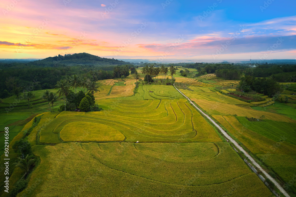 Indonesia's natural scenery with rice fields and clear skies