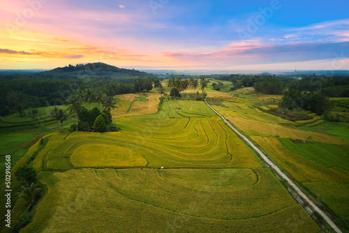 Indonesia s natural scenery with rice fields and clear skies