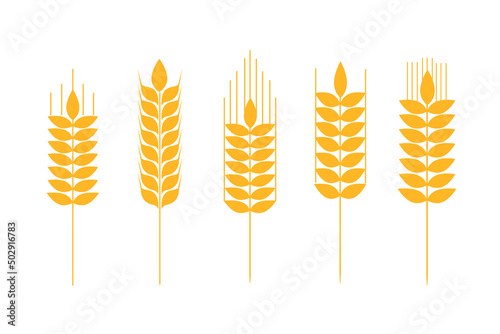 Collection of golden ripe spikelets of wheat. Agricultural symbol, flour production. Vector silhouette of wheat.