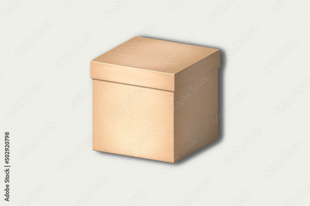 Fototapeta premium Blank brown Kraft box packaging mockup isolated on white background. 3d rendering.