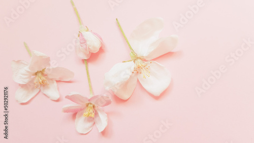 Beautiful fresh flowers of apple tree on pale pink table
