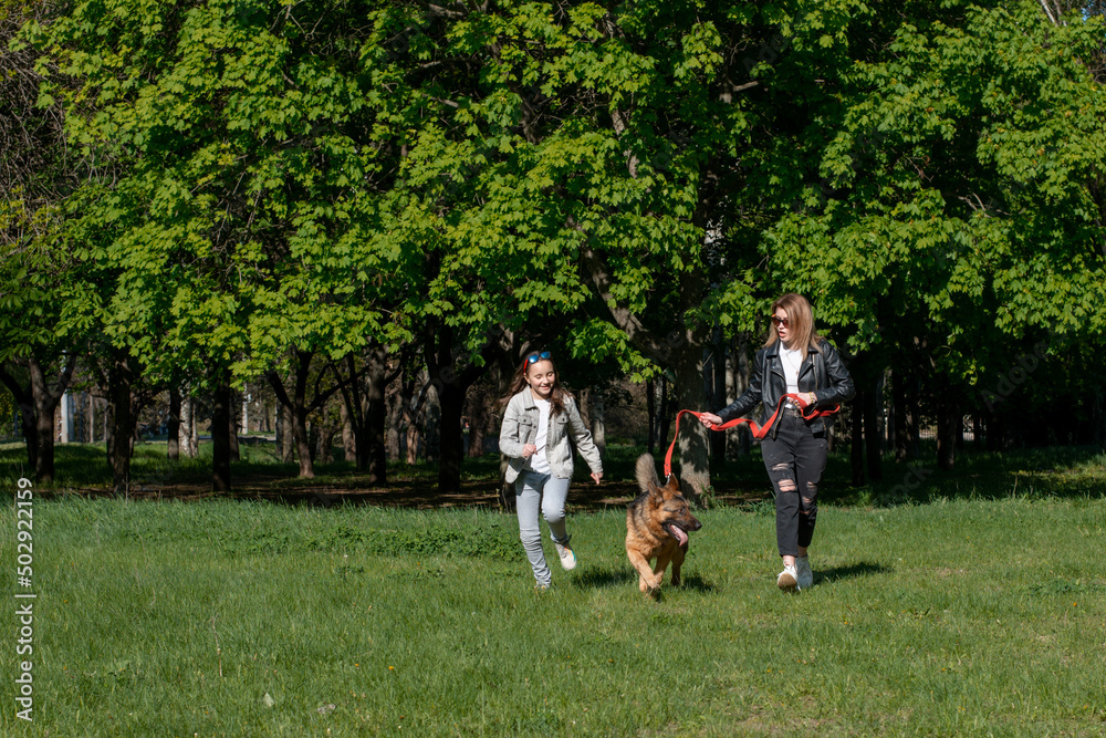 Obraz premium mom and daughter walk in the park with a dog breed german shepherd summer sun
