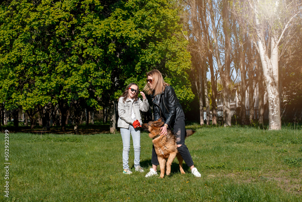 Obraz premium mom and daughter walk in the park with a dog breed german shepherd summer sun