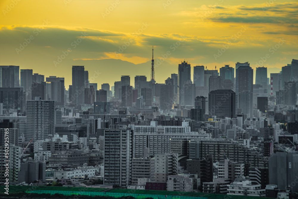 Fototapeta premium 東京都心のビル群と夕景