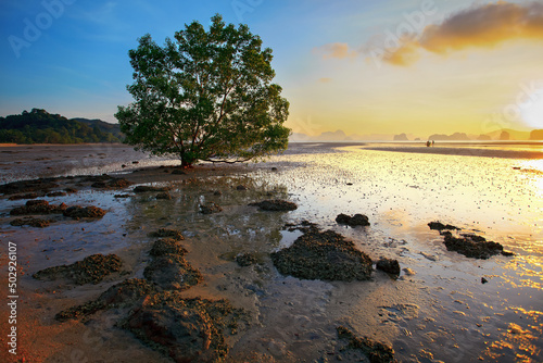 Wallpaper Mural Thailand. Travel and tourism background with traditional water lagoon with sunset cloudy sky. Torontodigital.ca
