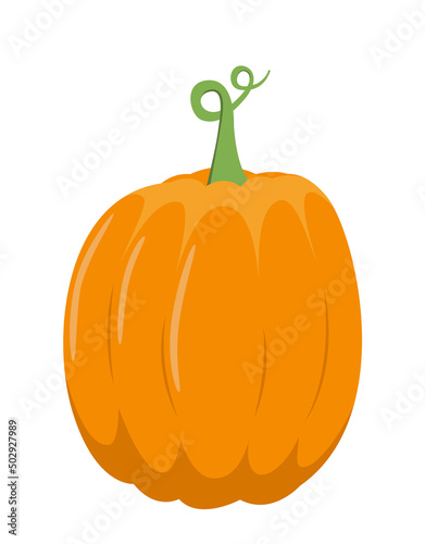 Pumpkin. Orange pumpkin, fall, Halloween. Flat, vector