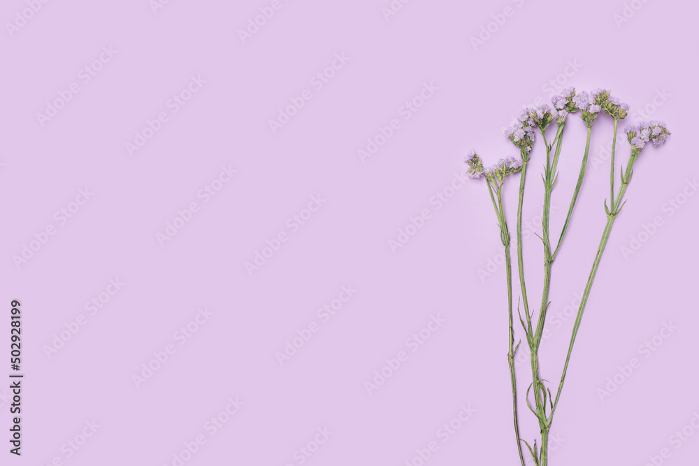 Obraz premium Flat lay arrangment of purple statice flowers on purple backround. Top view with creative copy space.