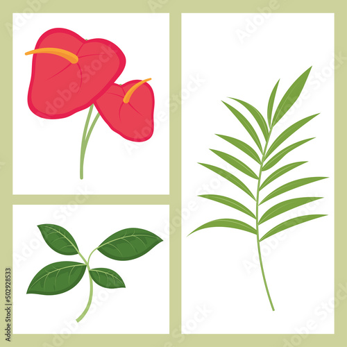 tropical leaves flower