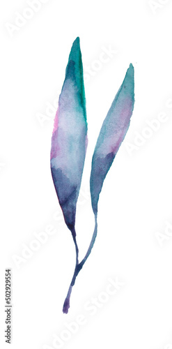 blue floral watercolor illustration on white background