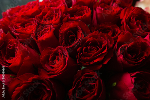Bouquet Of Beautiful red Roses. Trend color classic red. . Valentine's Day. Selective Focus. Roses wallpaper. Background.