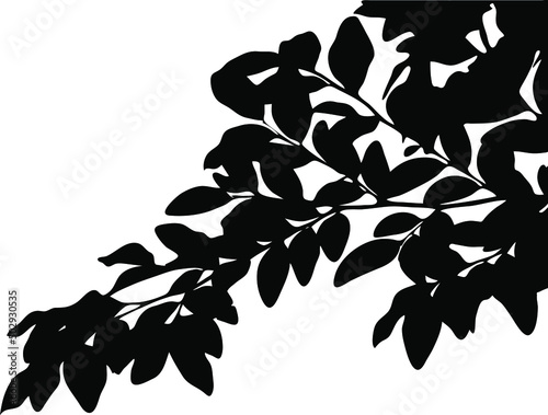 Tree branch with leaves vector silhouette, copy space, isolated on white background, front view, nature concept