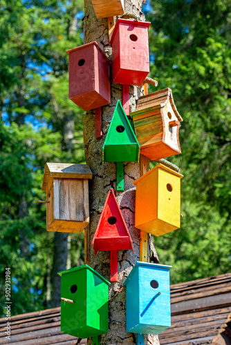 Many colorful and different in structure birdhouses are attached to the tree.