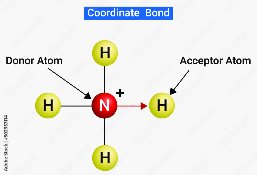 A coordinate bond is represented by pointing from the donor atom to the