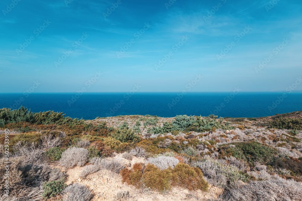 Blue sky and sea, coastline with thorns and succulents in Greece on the island of Kos