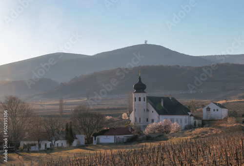 Freigut Thallern, alte Kirche, Frühling, Weinberge, blauer Himmel, Gumpoldskirchen, Niederösterreich
