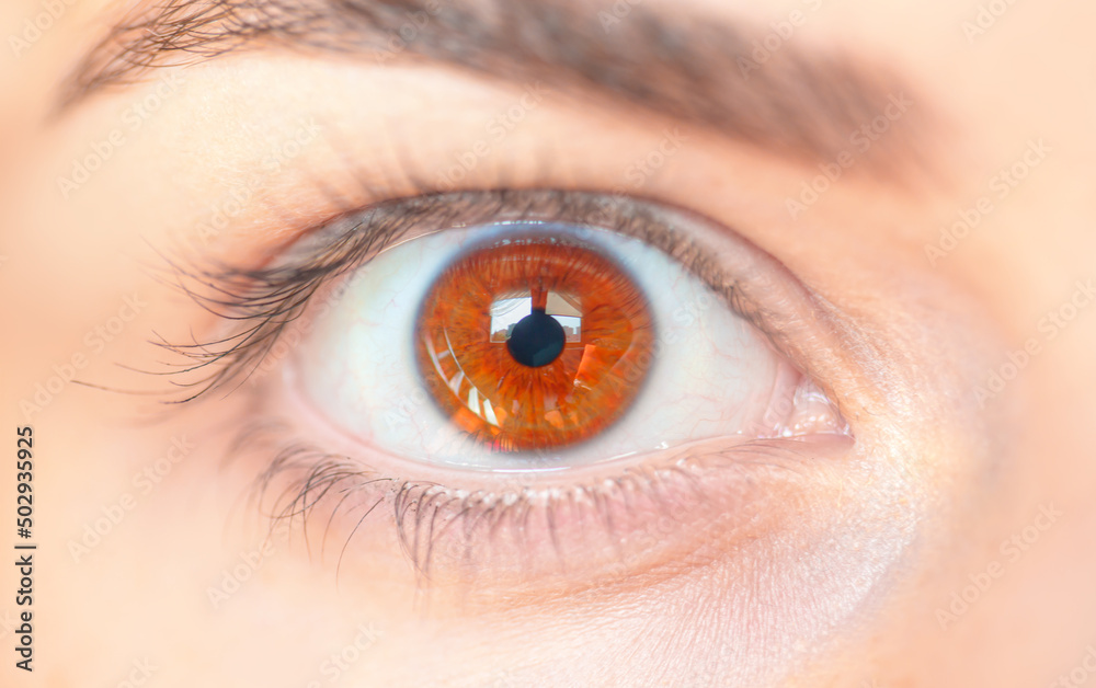 Fototapeta premium Close up image of beautiful girl hazel eye 
