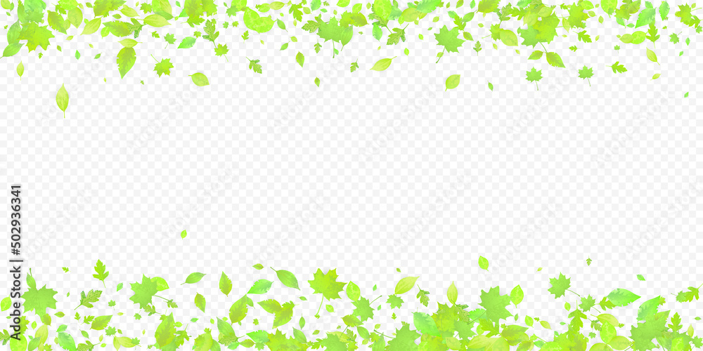 Leaves Falling Spring Flying Foliage Green Leaf Leaves Falling Spring Flying Foliage Green Leaf