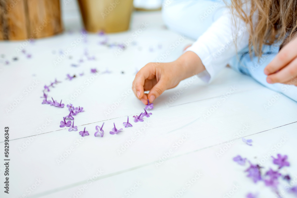 A little girl makes a figure of the heart of their lilac flowers on the white floor. Spring flowers. Lilac flowers on white wooden background. Top view, flat lay, copy space A little girl makes a figure of the heart of their lilac flowers on the white floor. Spring flowers. Lilac flowers on white wooden background. Top view, flat lay, copy space