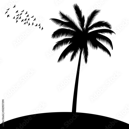 palm tree silhouette, on white background, isolated