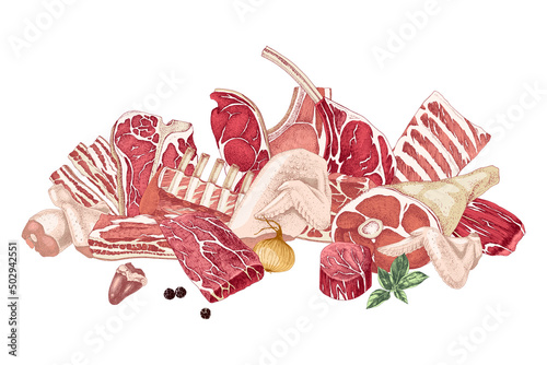 Different raw meat parts on white background