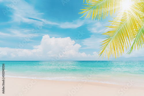 Palm tree on tropical beach with blue sky and white clouds abstract background. Copy space of summer vacation and business travel concept.
