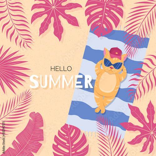Hello summer banner with sunbathing ginger cat