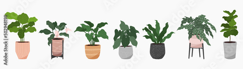Potted plants collection on white background. Set of interior house plants with tropical plants, flowers, cactus, leaves. Different vintage indoor decor illustration for decoration, art, prints.