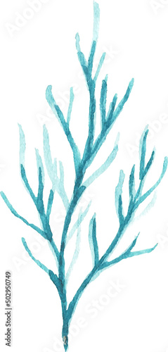 Leaf Watercolor illustration.