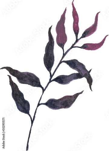 Fototapeta Leaf Watercolor illustration