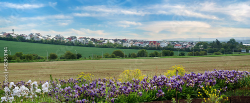 varietal purple, blue iris on the edge of the field, close up on the village horizon panoramic view