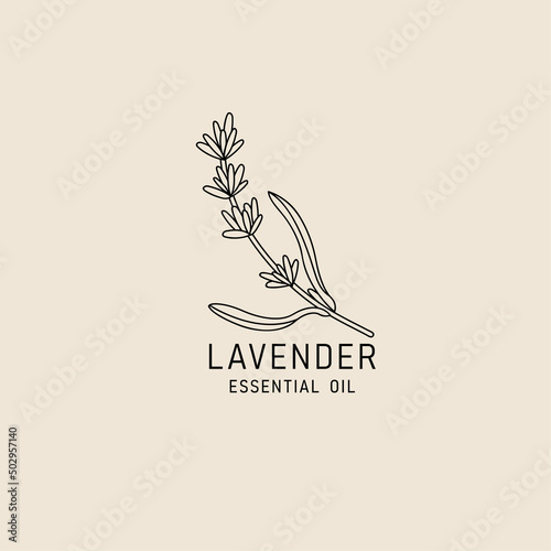 Vector packaging design element and icon in linear style - lavender oil - healthy vegan food. Logo sign.