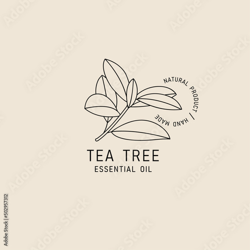 Vector packaging design element and icon in linear style - tea tree oil - healthy vegan food. Logo sign.