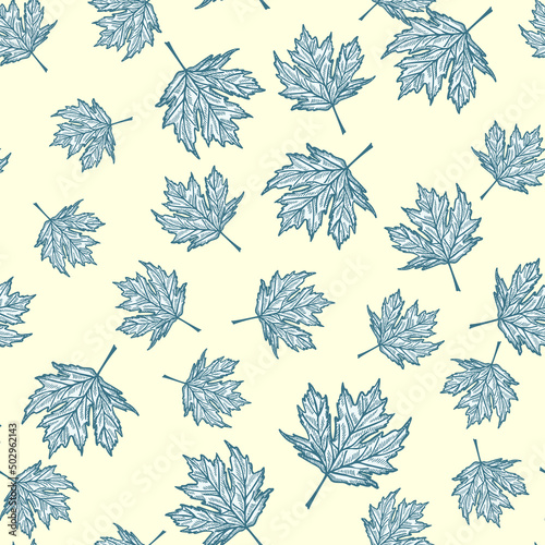 Leaves maple canadian engraved seamless pattern. Vintage background botanical with foliage in hand drawn style.