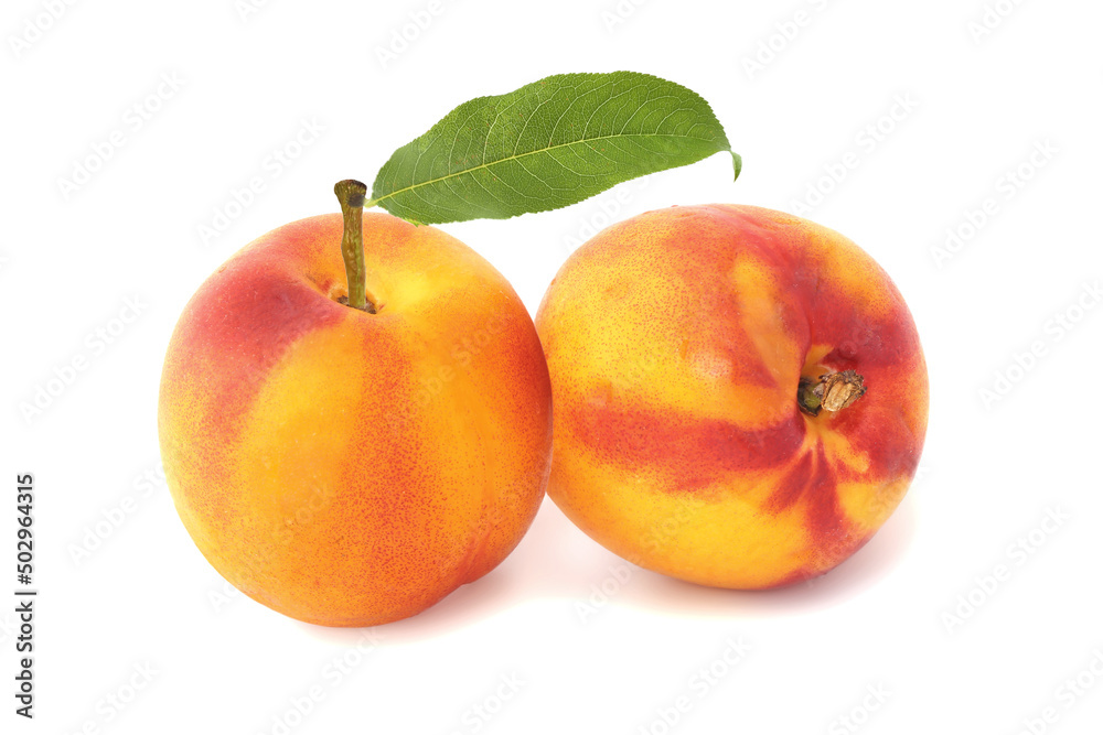 Two nectarines with leaf isolated on white Two nectarines with leaf isolated on white