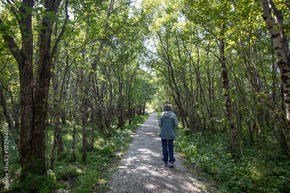 Happy woman walking on a path in the woods, Northern Norway,scandinavia,Europe