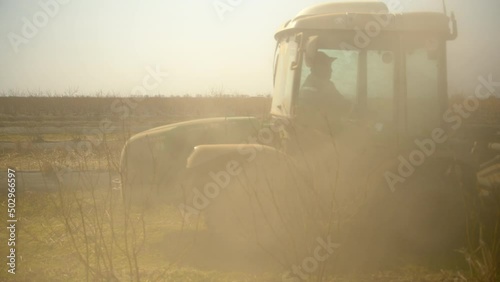View of blueberry field and tractor working and making dust clouds in agricultural field on a sunny day.