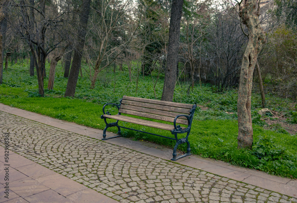 Empty bench in green park. No people in photo. Empty bench in green park. No people in photo.