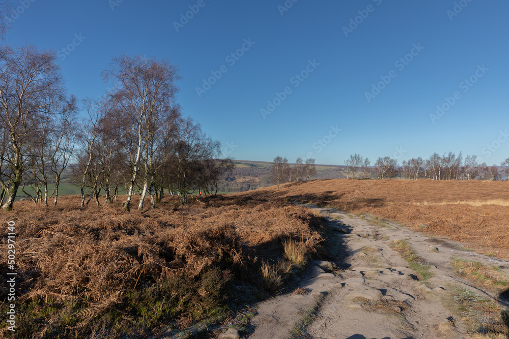 Fototapeta premium Forgot Edge