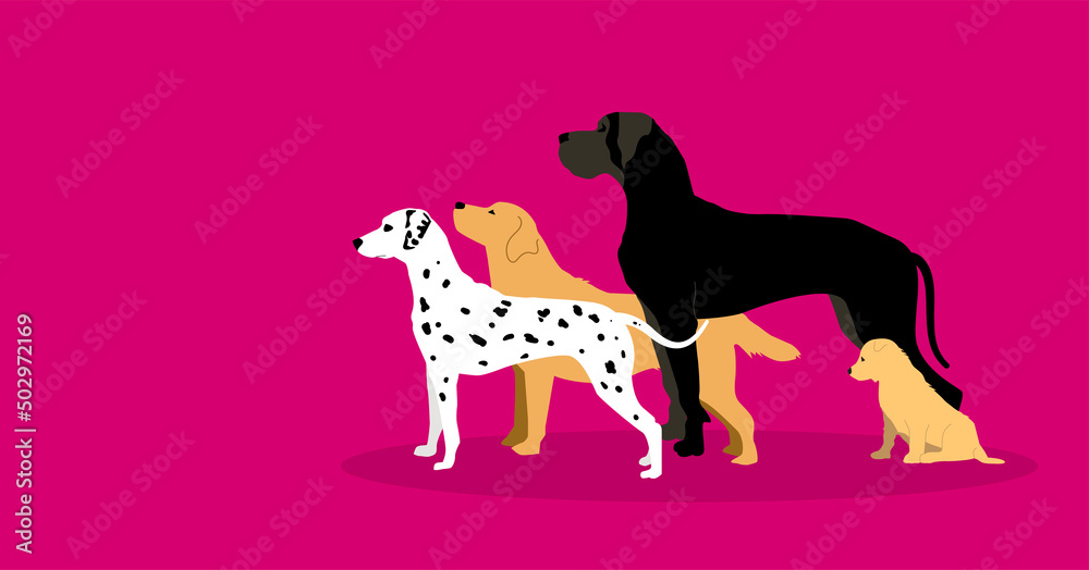 Fototapeta premium cani, animali, sagome, silhouette, 