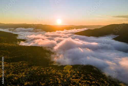 Aerial view of foggy evening over dark pine forest trees at bright sunset. Amazingl scenery of wild mountain woodland at dusk © bilanol