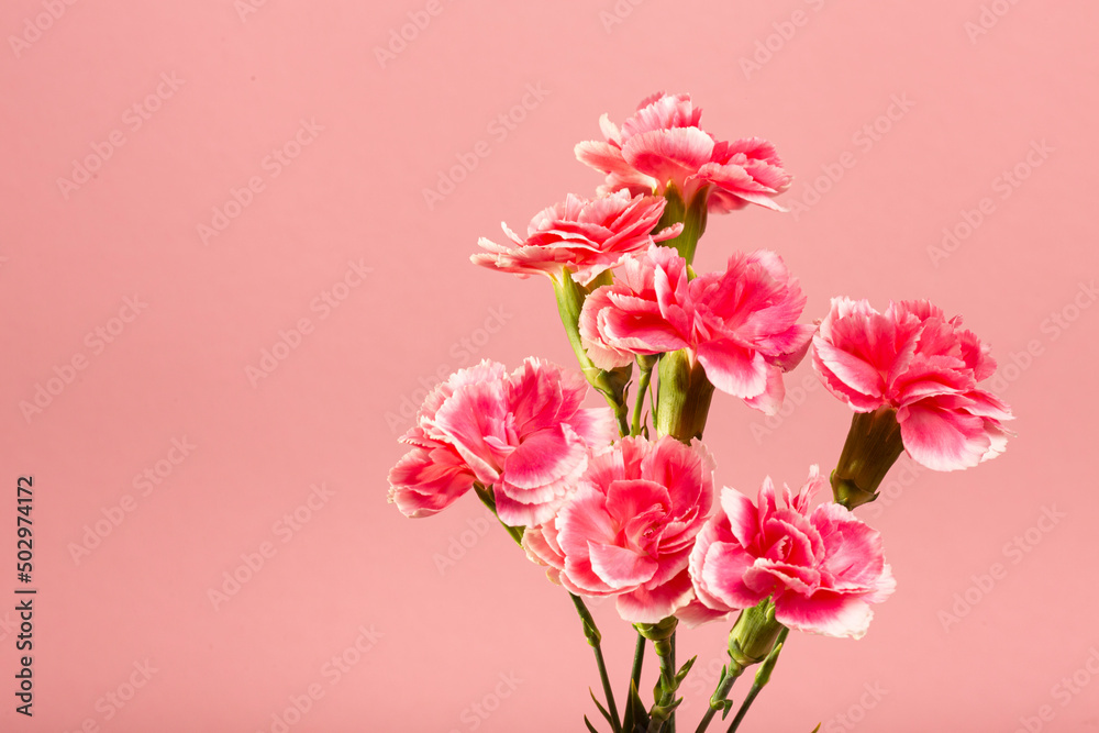 Spring or summer flower composition, still life, banner, minimal holiday concept. Greeting card for mother's day, women's day, valentine's day, happy birthday, wedding, selective focus, Spring or summer flower composition, still life, banner, minimal holiday concept. Greeting card for mother's day, women's day, valentine's day, happy birthday, wedding, selective focus,
